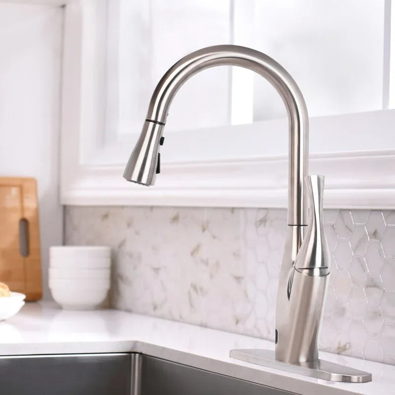 Kitchen Faucet